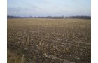 Property photo 7 - 71 Acres Offered in 2 Tracts